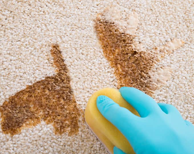 how to remove coffee stains from carpets
